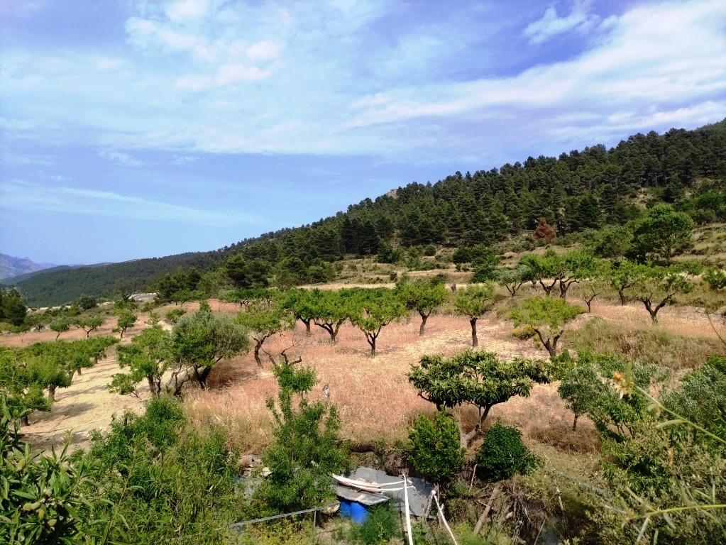 Na sprzedaż - Country House - Penáguila