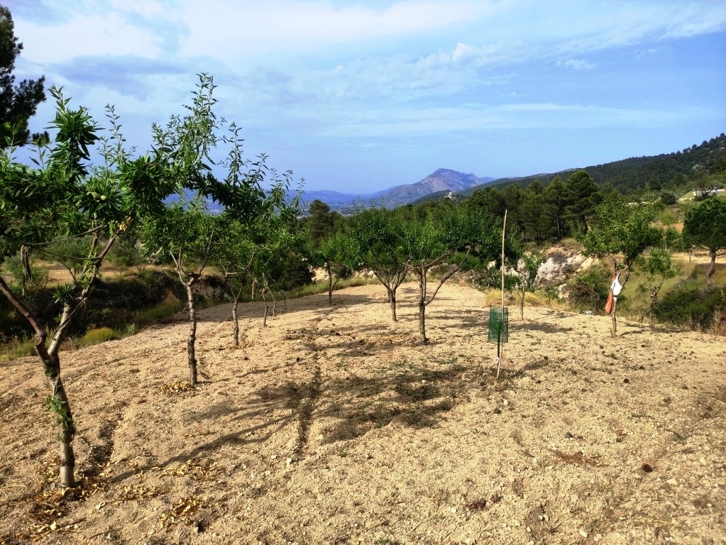 Na sprzedaż - Country House - Penáguila