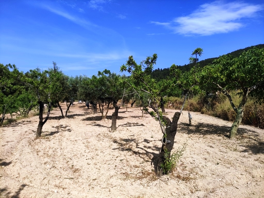 Na sprzedaż - Country House - Penáguila