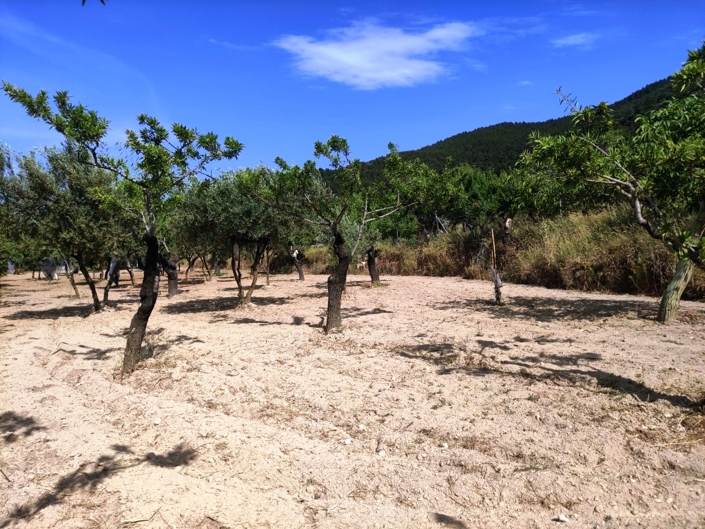 Na sprzedaż - Country House - Penáguila