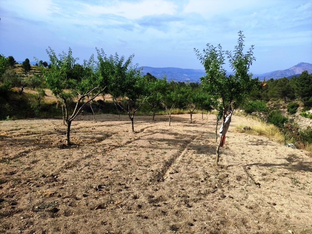 Na sprzedaż - Country House - Penáguila