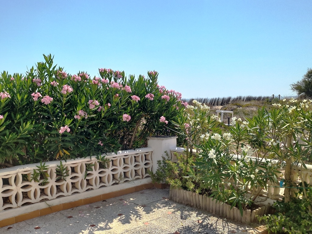 Te koop - Villa - Denia