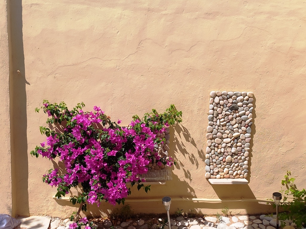 Te koop - Villa - Denia