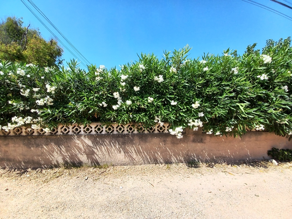 Te koop - Villa - Denia