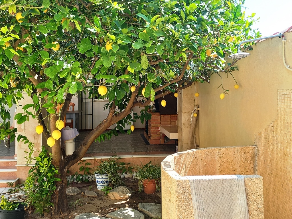 Te koop - Villa - Denia