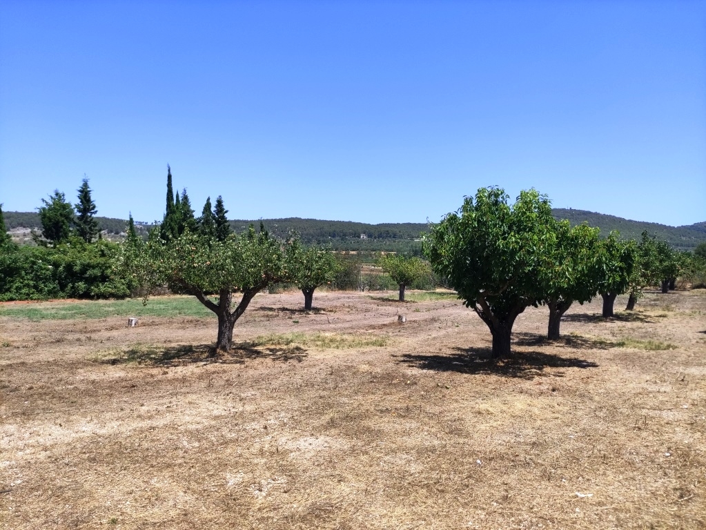 Videresalg - Country House - Agres