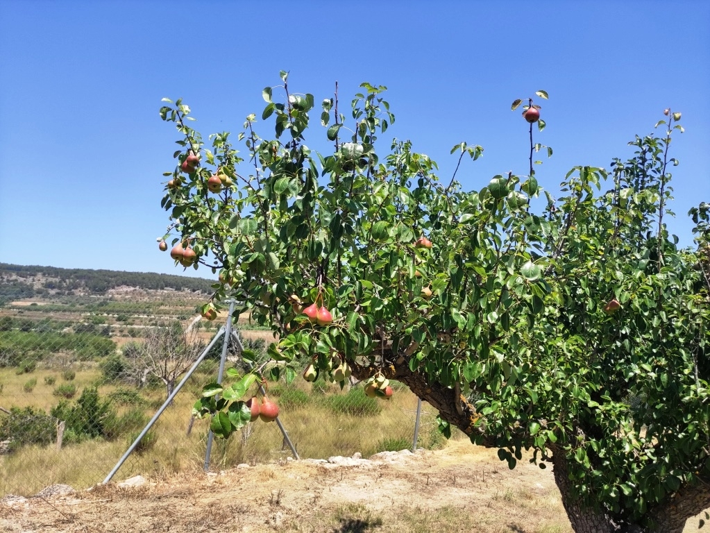 Videresalg - Country House - Agres