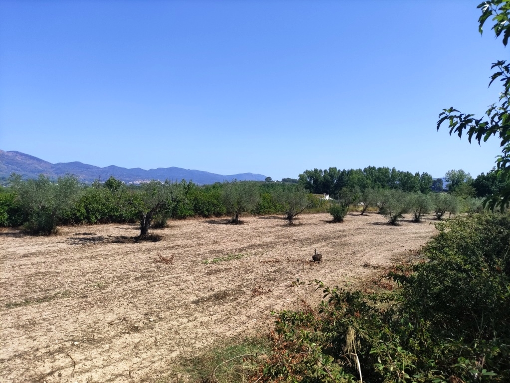 Te koop - Country House - Benimarfull - benimarfull