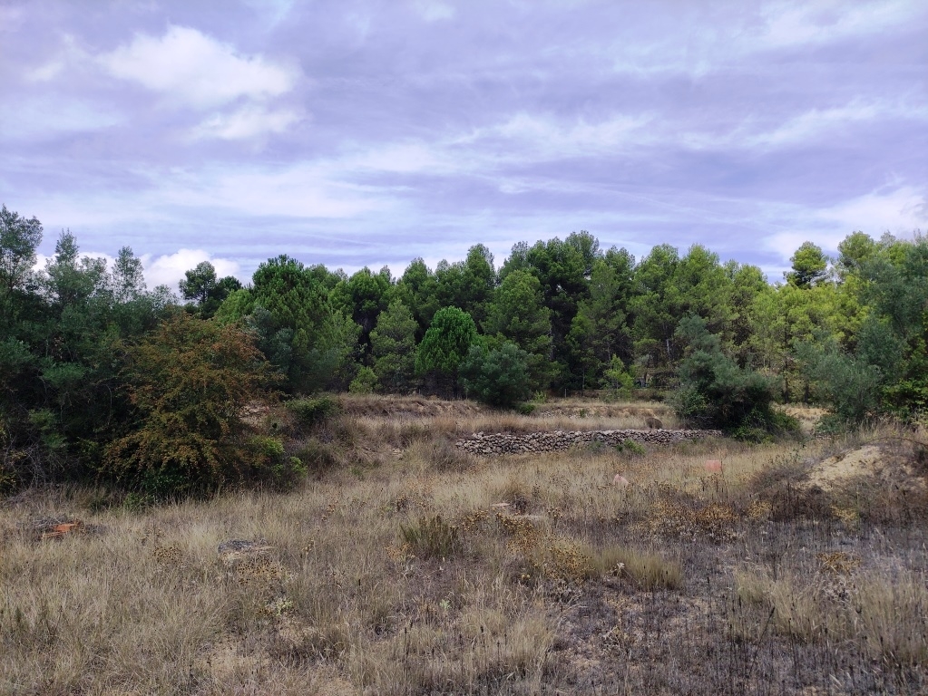 Videresalg - Country House - Bocairent