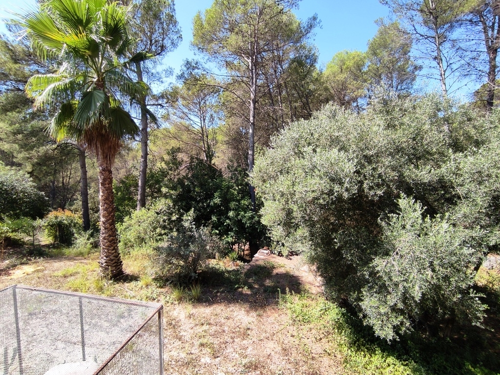 Verkauf - Country House - Villalonga