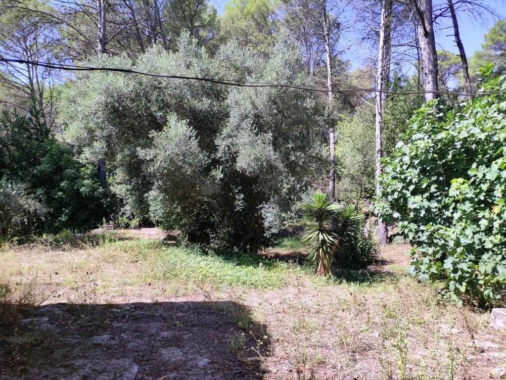 Verkauf - Country House - Villalonga