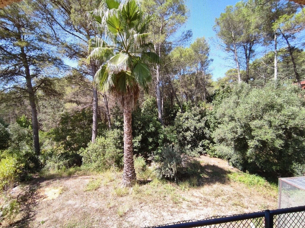 Verkauf - Country House - Villalonga