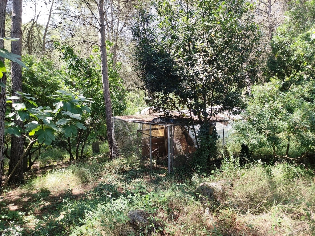 Verkauf - Country House - Villalonga