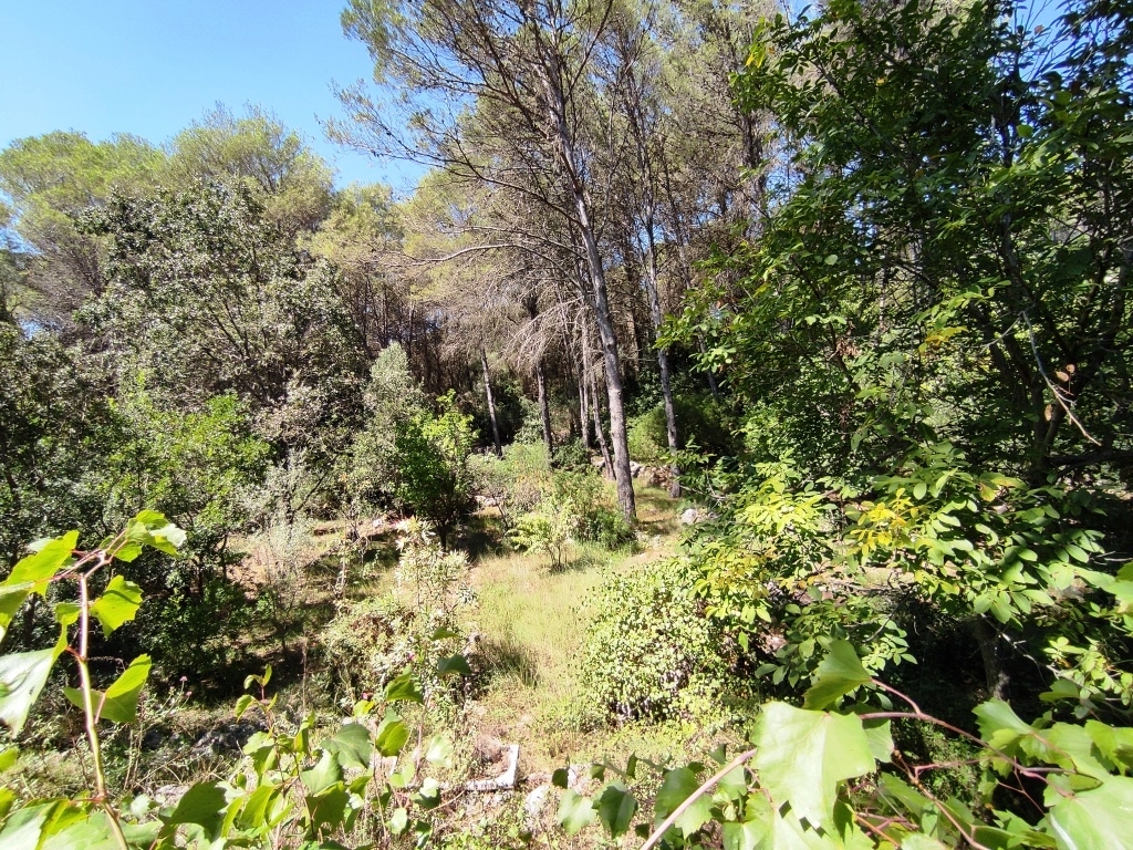 Verkauf - Country House - Villalonga