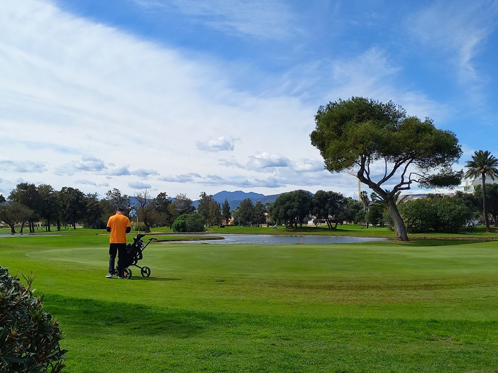 Na sprzedaż - Villa - Oliva