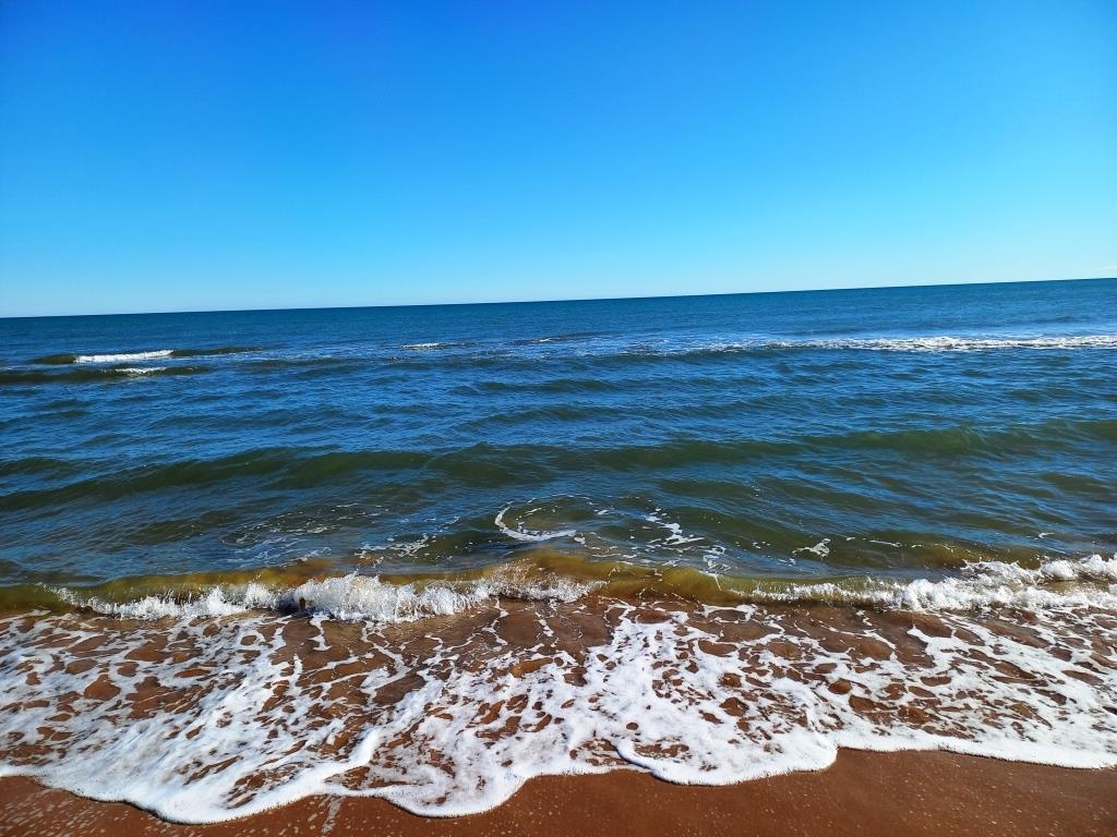 Na sprzedaż - Villa - Oliva