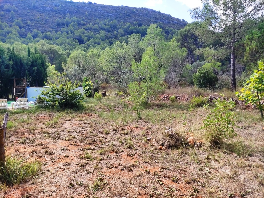 Vente - Country House - Villalonga