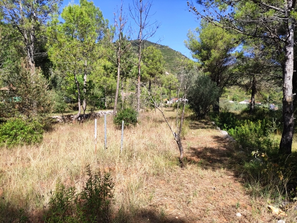 Vente - Country House - Villalonga