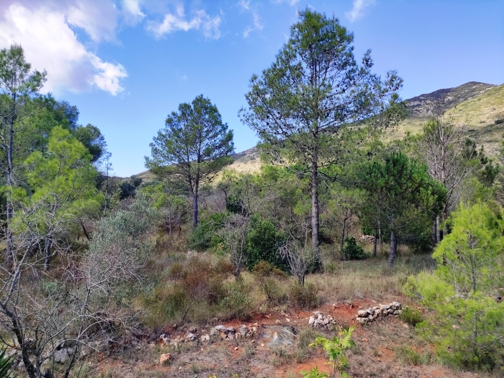 Vente - Country House - Villalonga