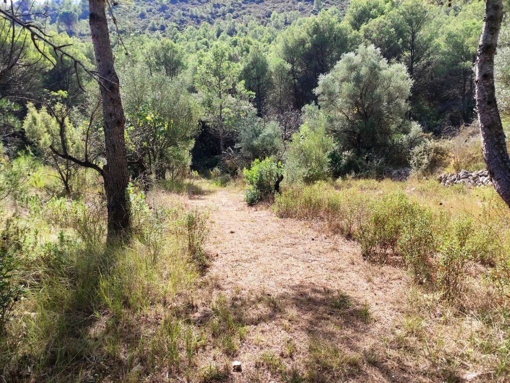 Vente - Country House - Villalonga