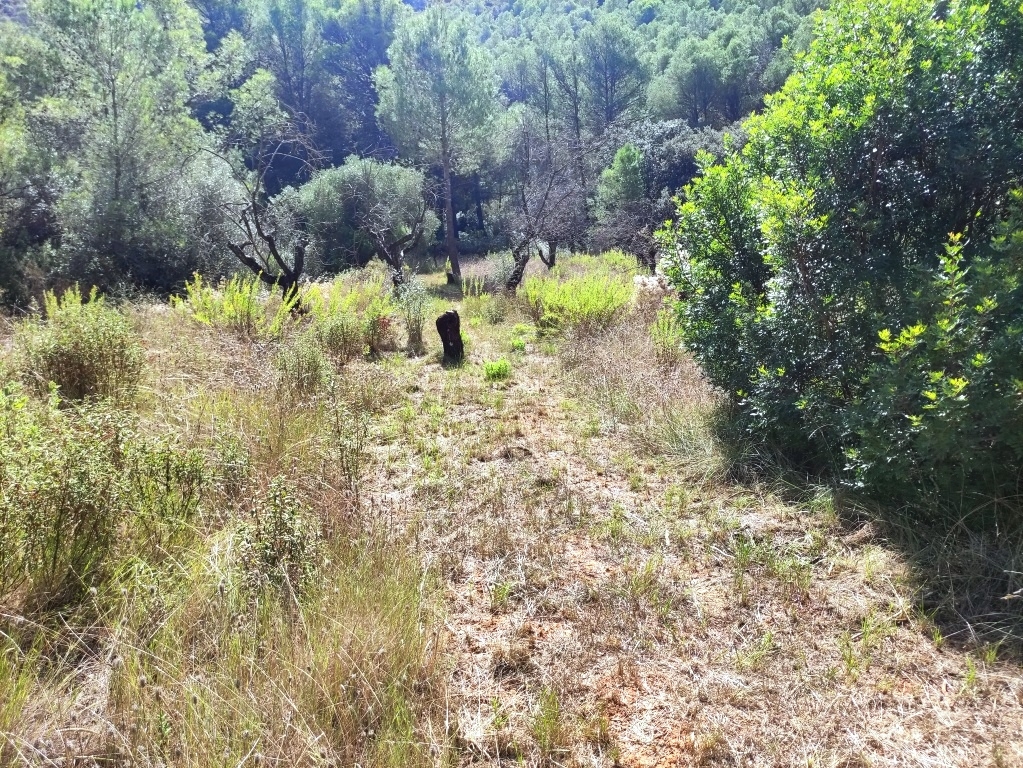 Vente - Country House - Villalonga