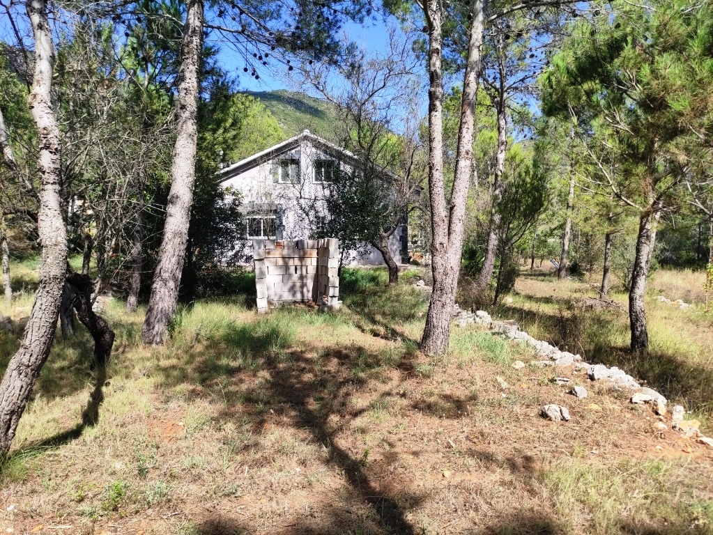 Vente - Country House - Villalonga