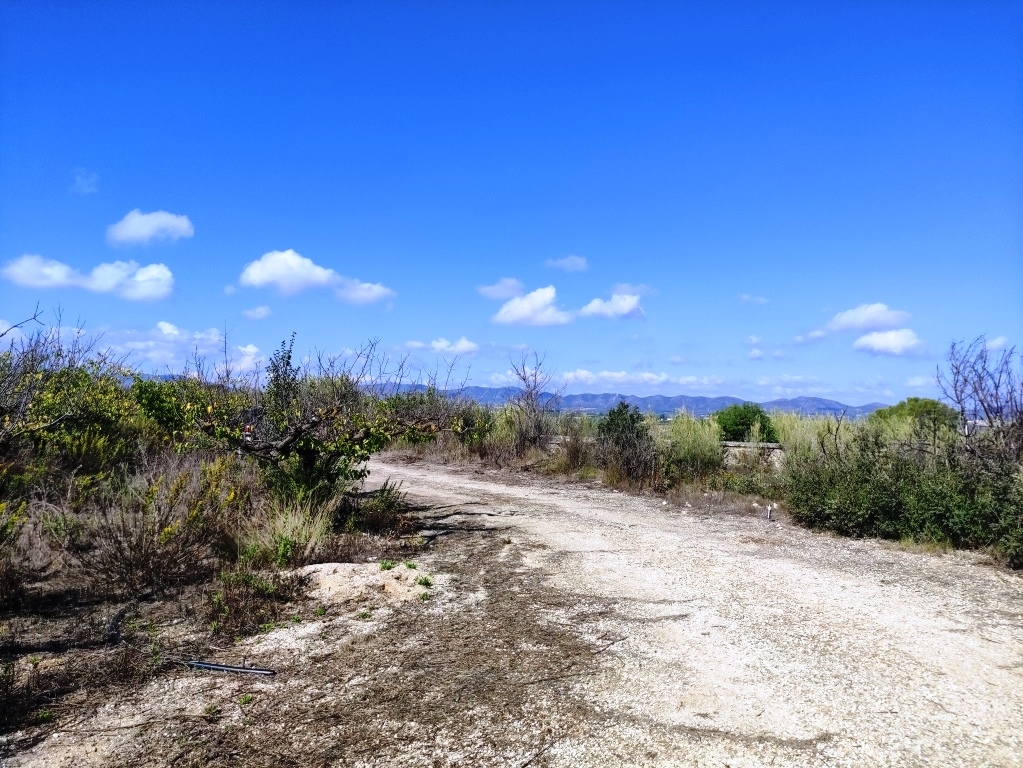  Sale - Country House - Albaida