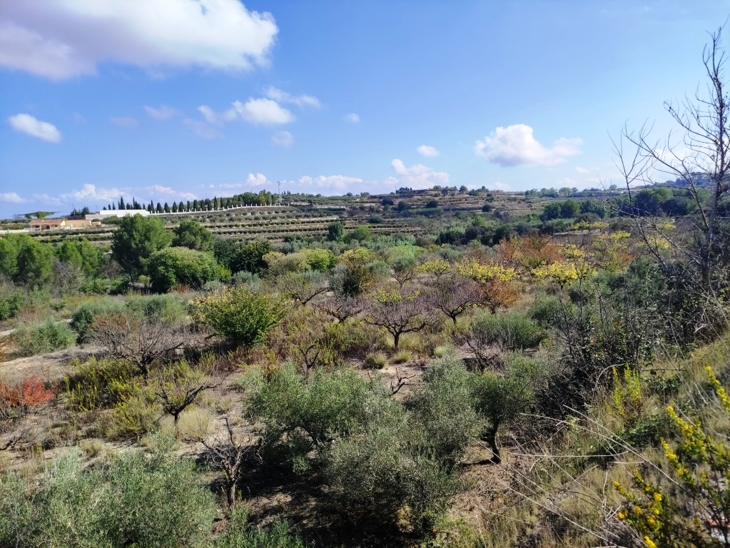  Sale - Country House - Albaida