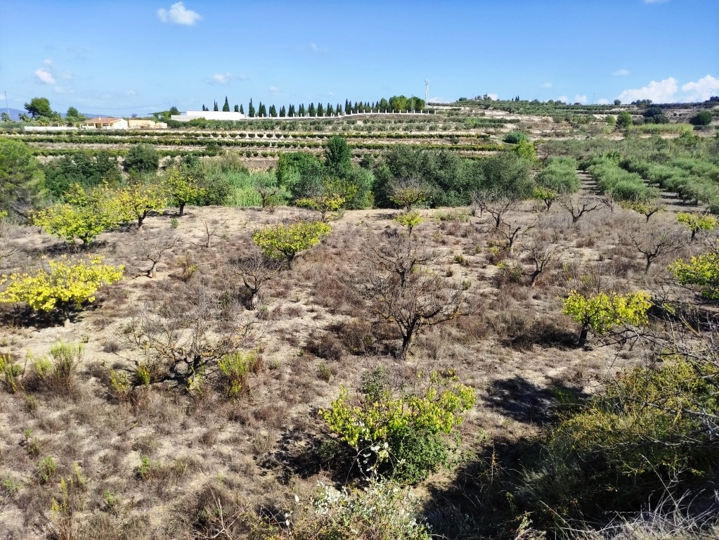  Sale - Country House - Albaida