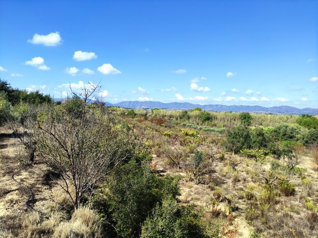  Sale - Country House - Albaida