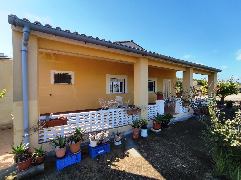  Sale - Country House - Albaida