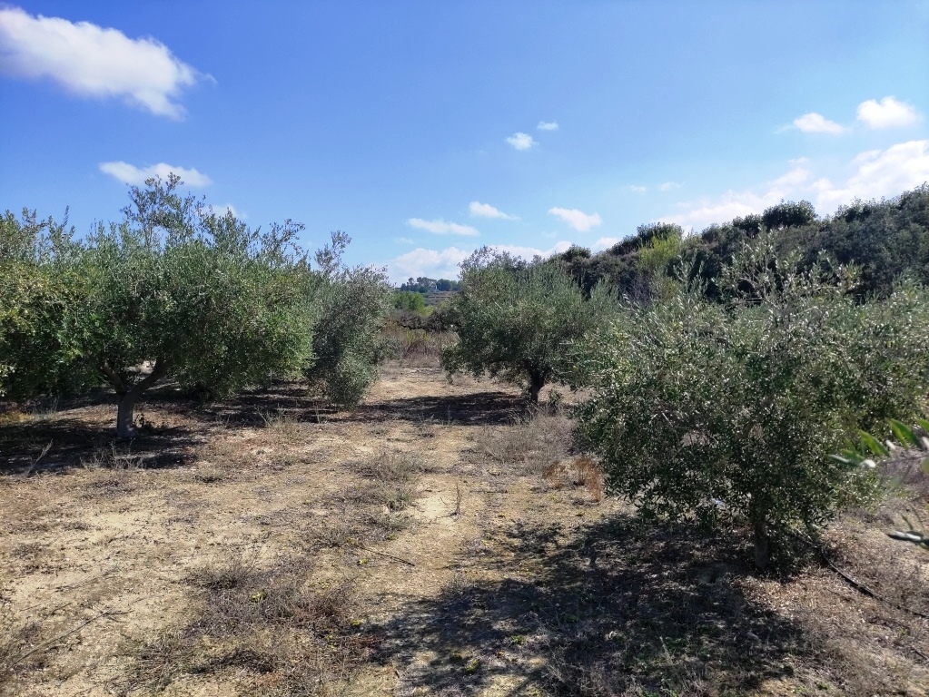  Sale - Country House - Albaida