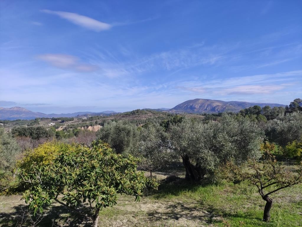 Reventa - Country House - Benifallim