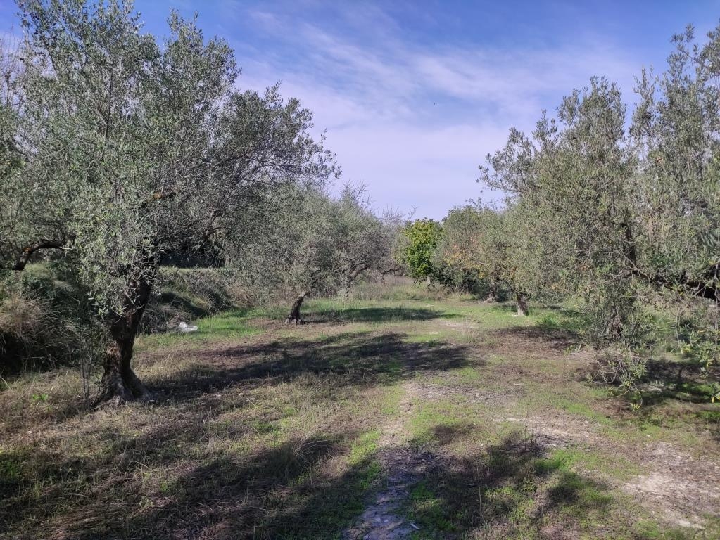 Reventa - Country House - Benifallim