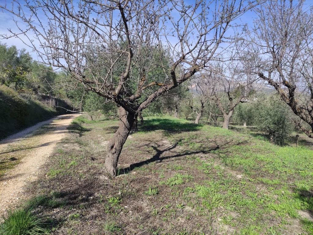 Reventa - Country House - Benifallim