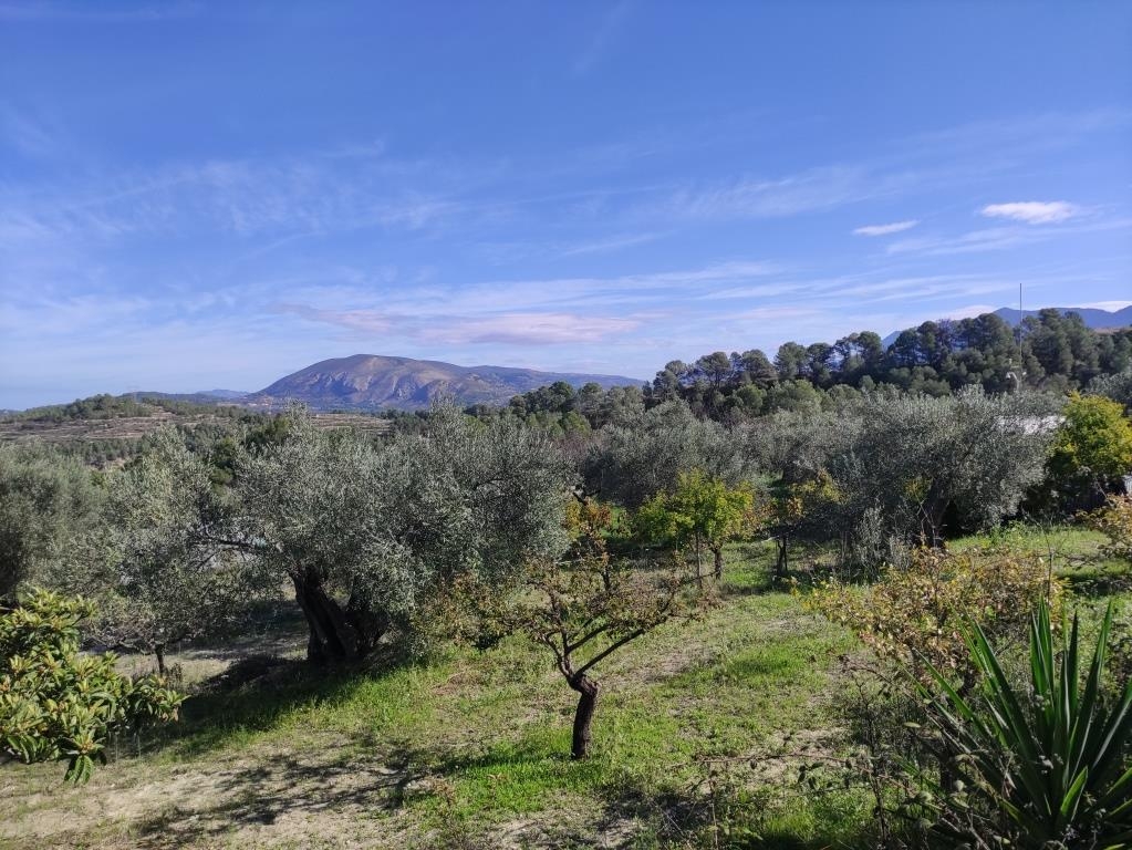 Reventa - Country House - Benifallim
