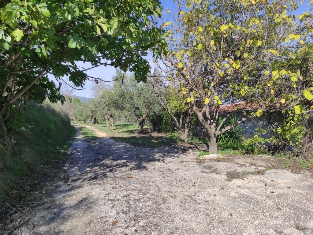 Reventa - Country House - Benifallim