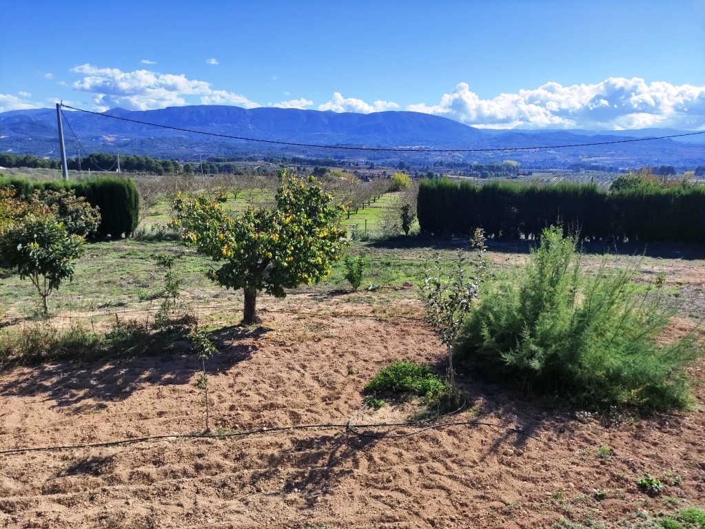  Sale - Villa - Alcocer de Planes