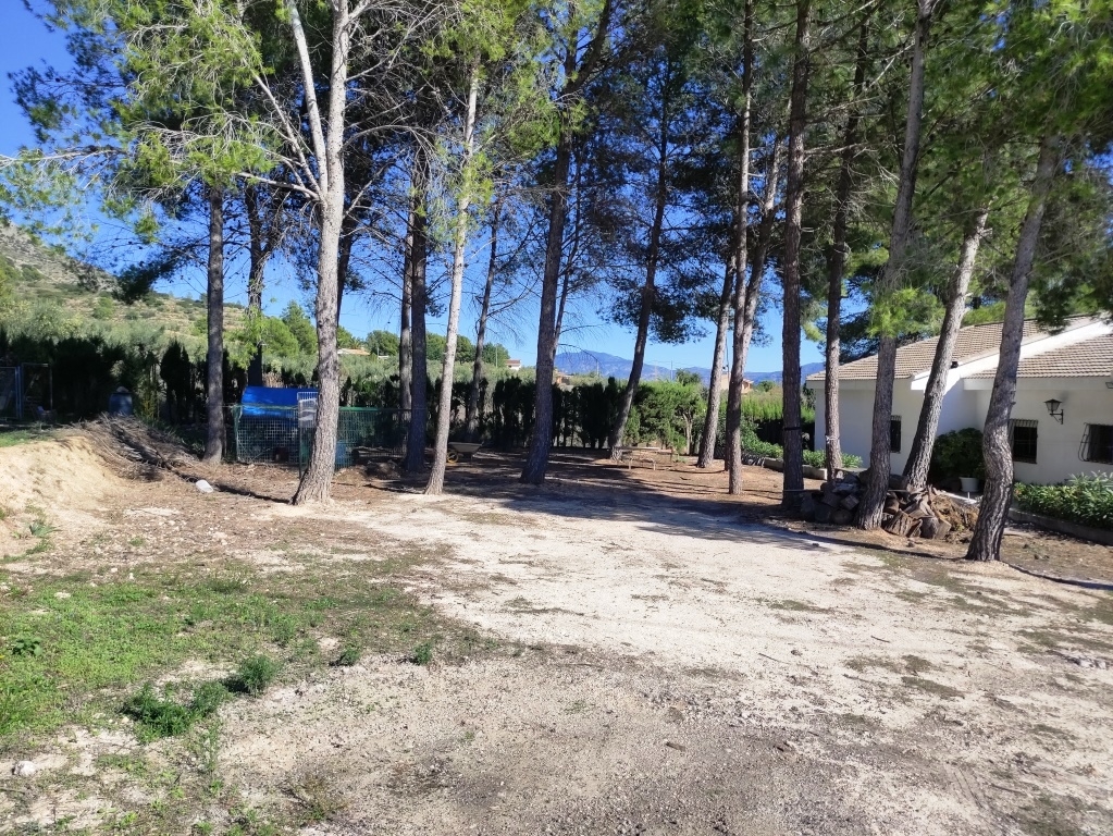  Sale - Villa - Alcocer de Planes