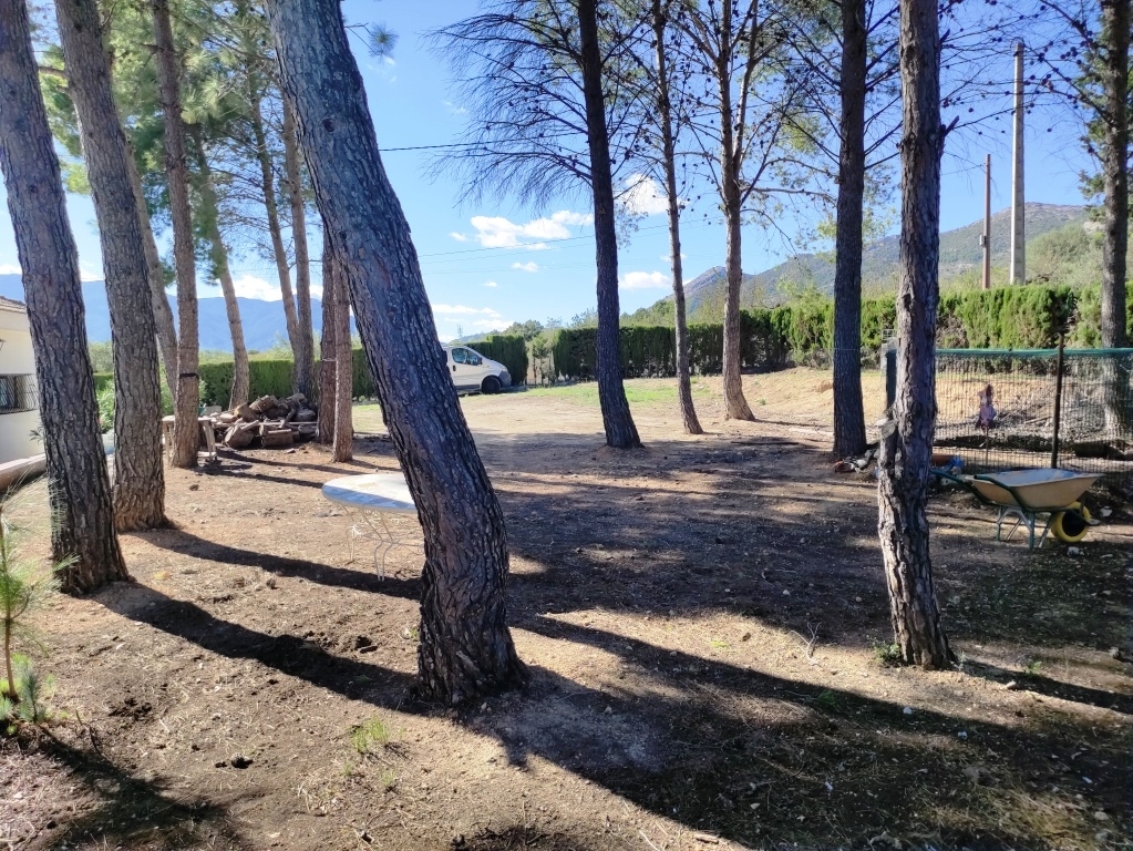  Sale - Villa - Alcocer de Planes