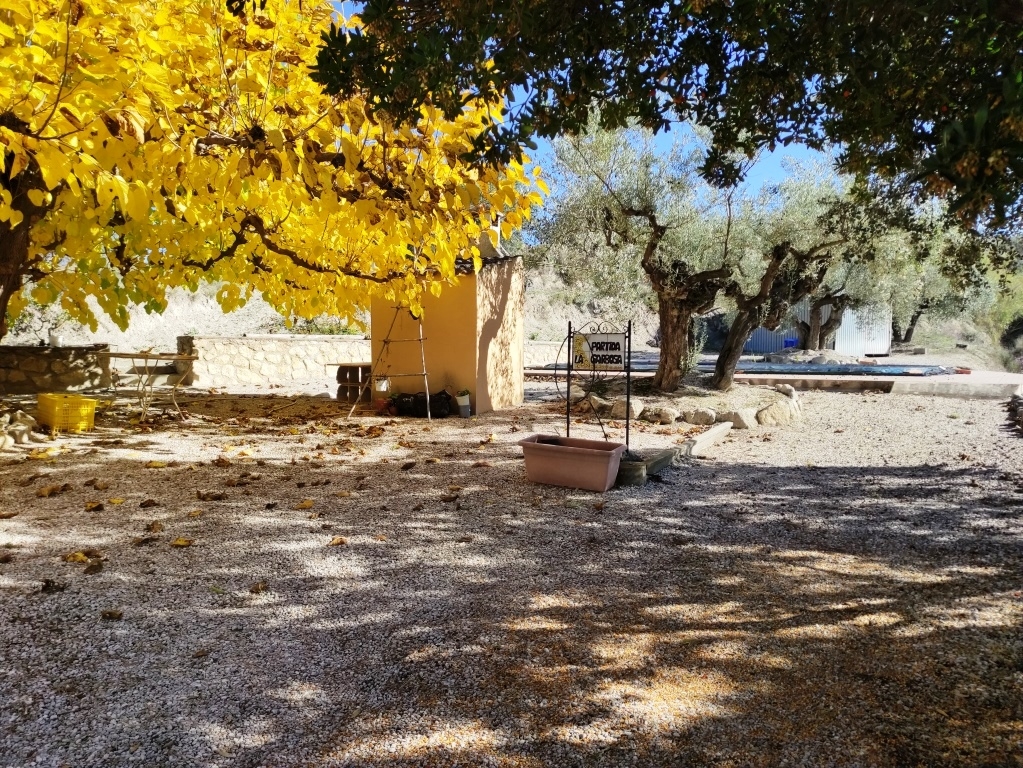 Na sprzedaż - Country House - Benilloba