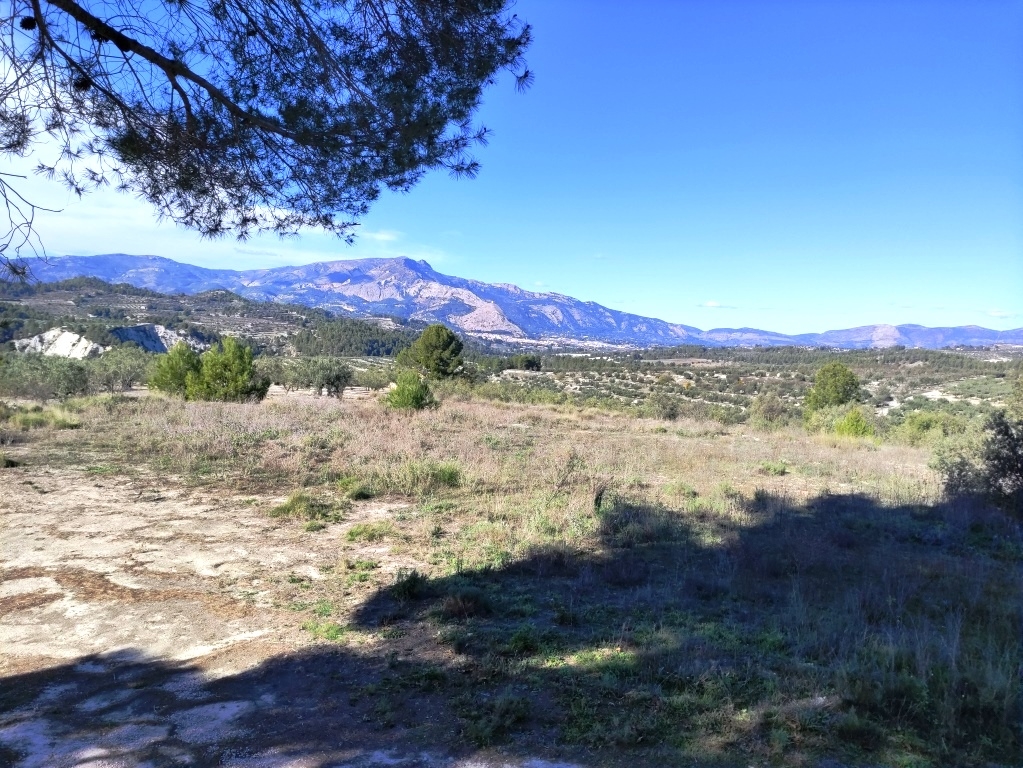 Na sprzedaż - Country House - Benilloba