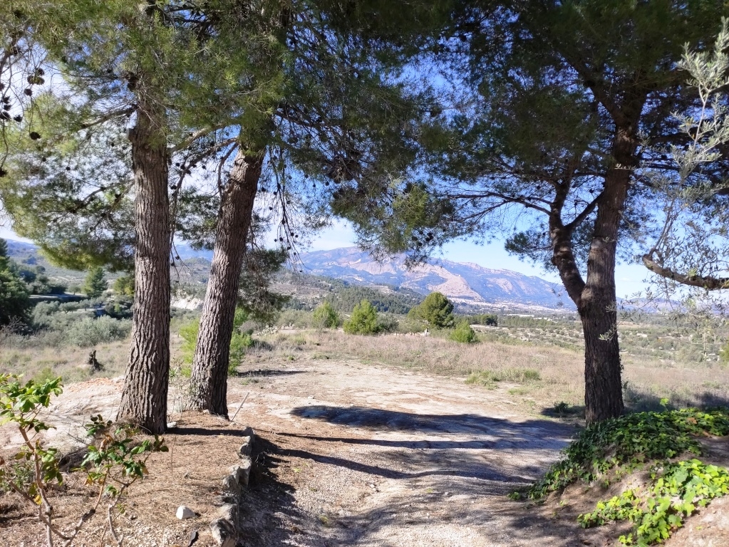Na sprzedaż - Country House - Benilloba