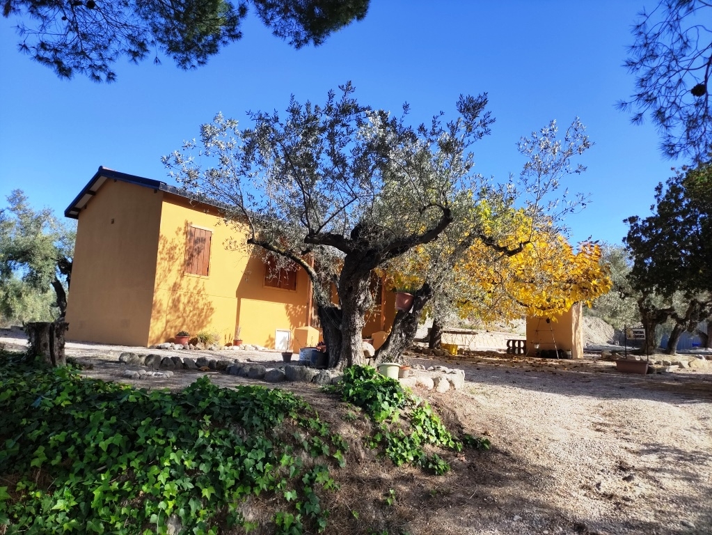 Na sprzedaż - Country House - Benilloba