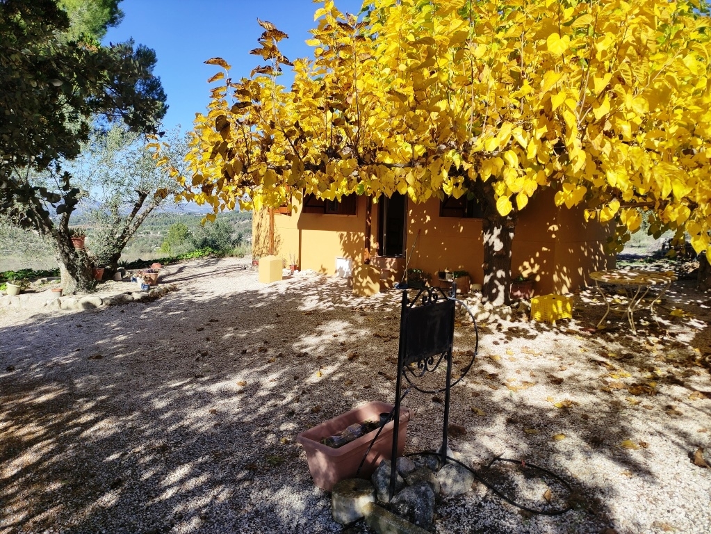 Na sprzedaż - Country House - Benilloba