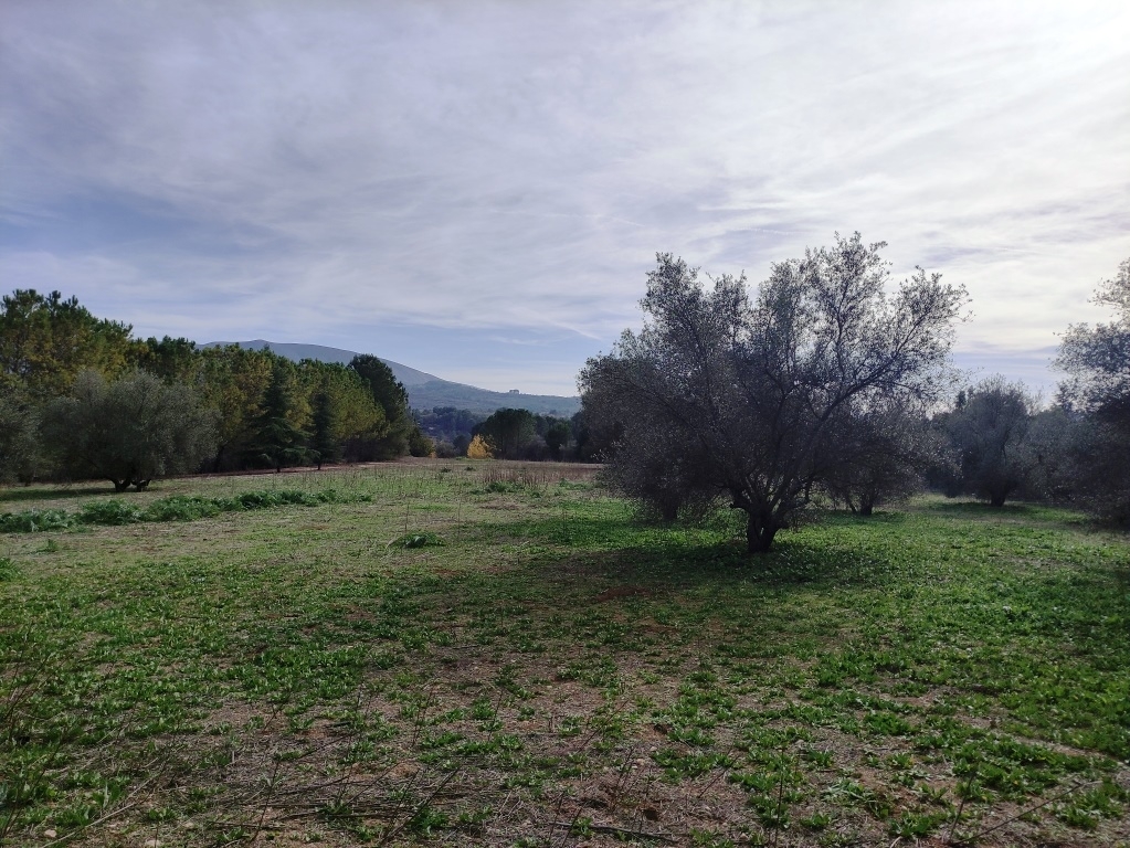 Videresalg - Country House - Muro de Alcoy