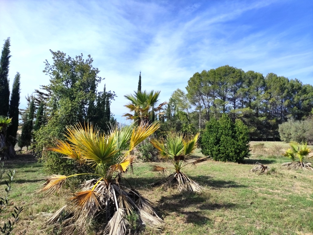 Videresalg - Country House - Muro de Alcoy
