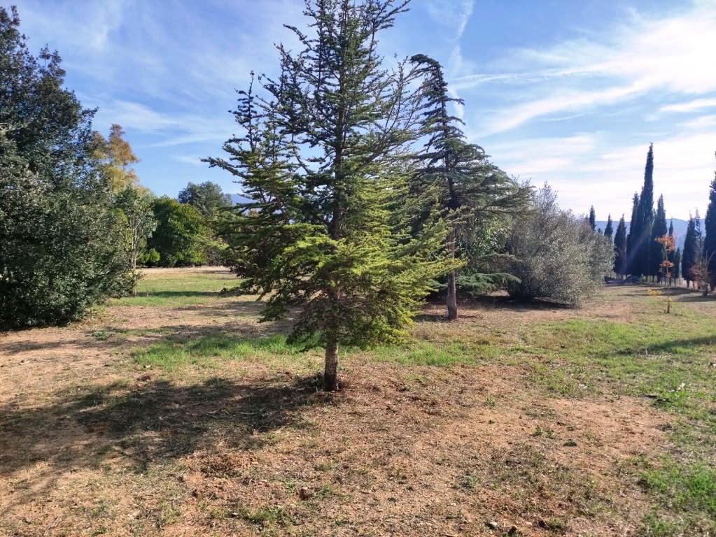 Videresalg - Country House - Muro de Alcoy