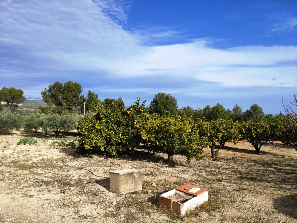  Sale - Country House - Ontinyent