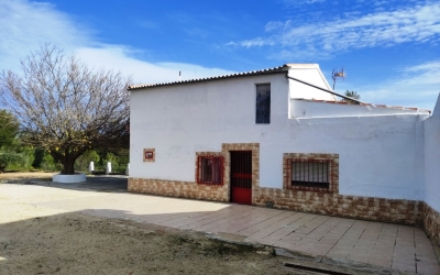 Country House - Reventa - Ontinyent - Ontinyent